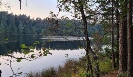 Chris Kala vlogi #22: looduses olemise võlud